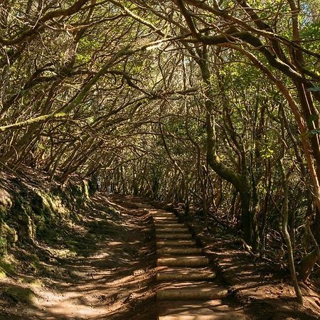 Апартаменты El Garajillo Техина Экстерьер фото