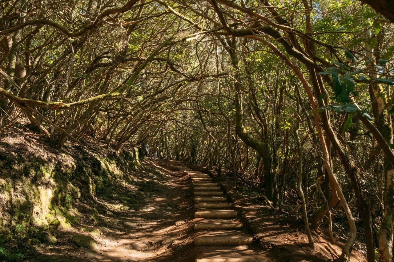 Апартаменты El Garajillo Техина Экстерьер фото