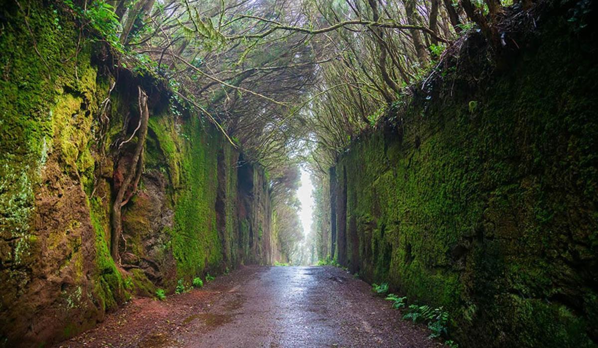 Апартаменты El Garajillo Техина Экстерьер фото